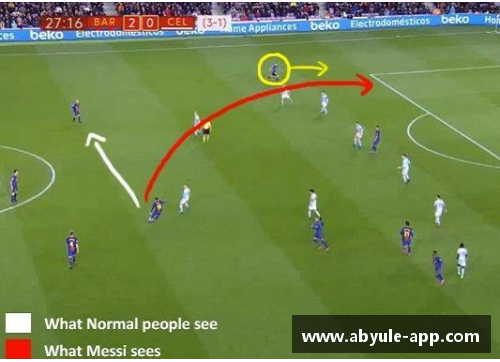 巅峰之路：探寻球场明星的征程