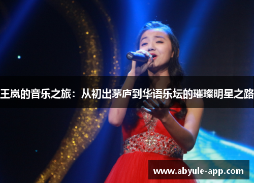 王岚的音乐之旅:从初出茅庐到华语乐坛的璀璨明星之路